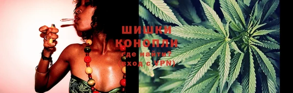 круглые Иннополис