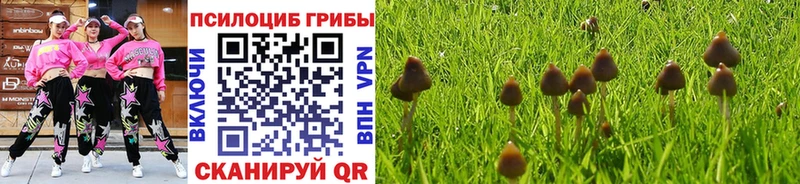 Псилоцибиновые грибы GOLDEN TEACHER  Купить  Ладушкин 