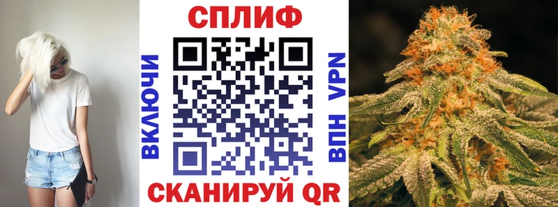 Бошки Шишки MAZAR  Купить закладки  Ладушкин 